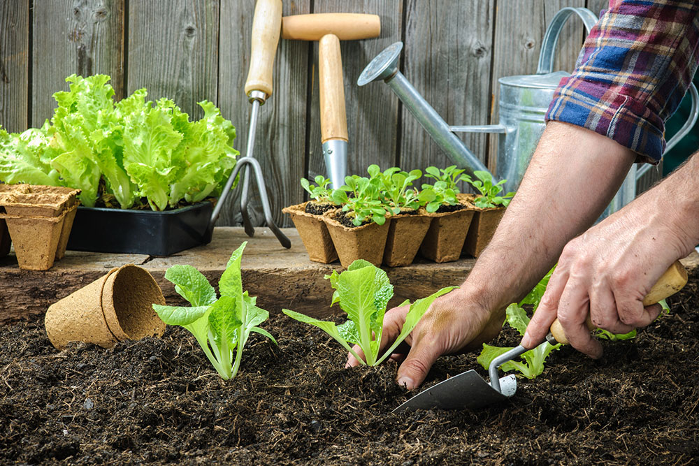 Giardinaggio - I migliori hobby per uomini