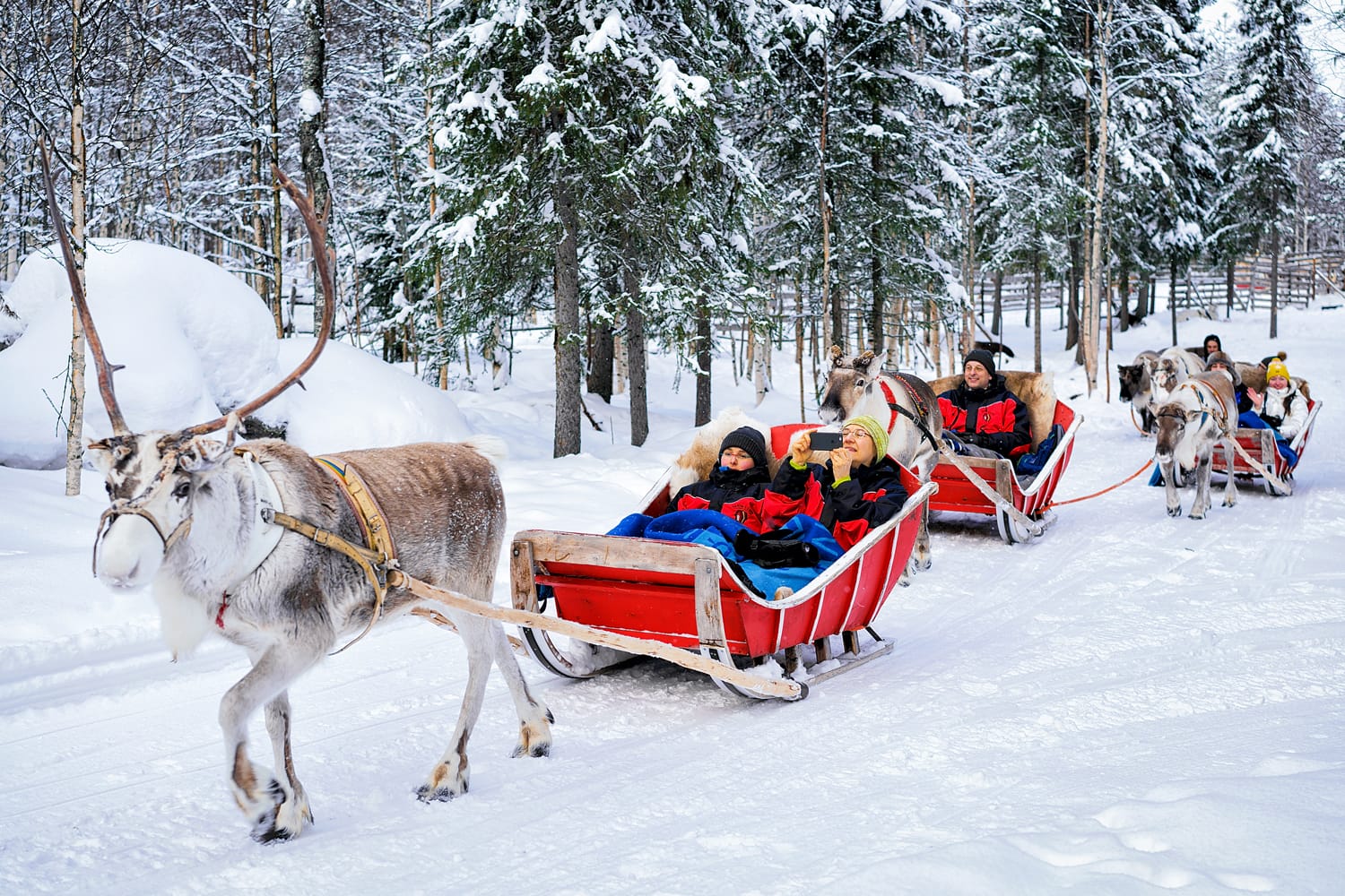 Persone in safari in roulotte con slitta trainata da renne nella foresta invernale a Rovaniemi, Lapponia, Finlandia