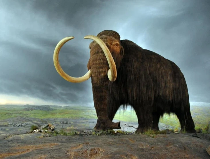 10-specie-animali-estinte-pi-incredibili.jpg